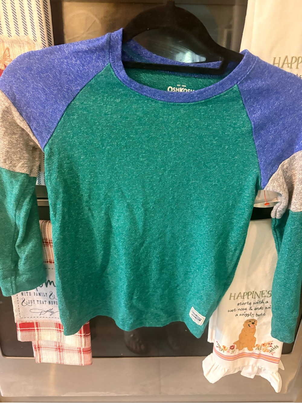 OshKosh B'gosh Green, Blue & Gray Raglan Long Sleeve Tee